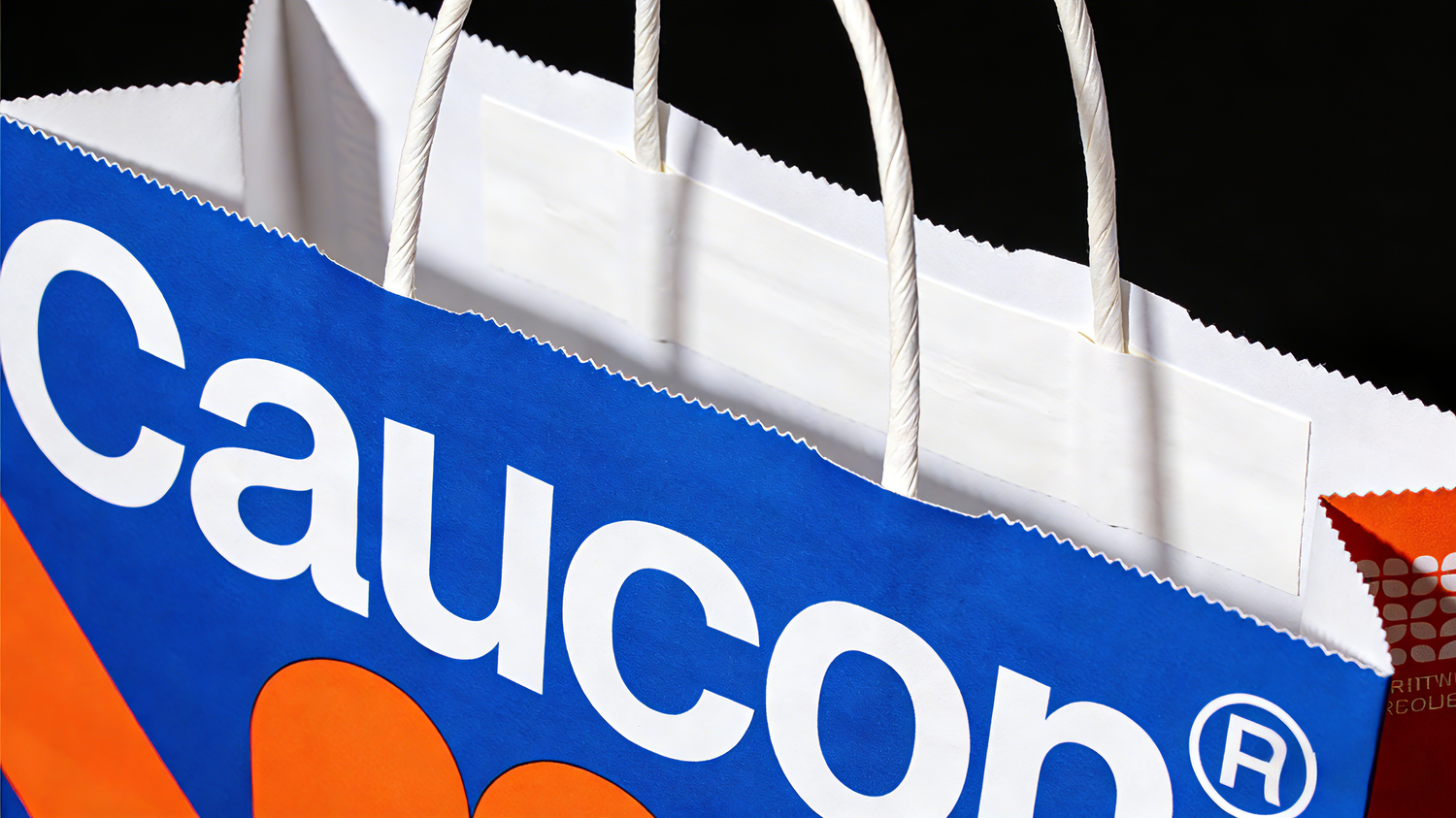 High quality printing on custom paper bags with logo for premium brand presentation
